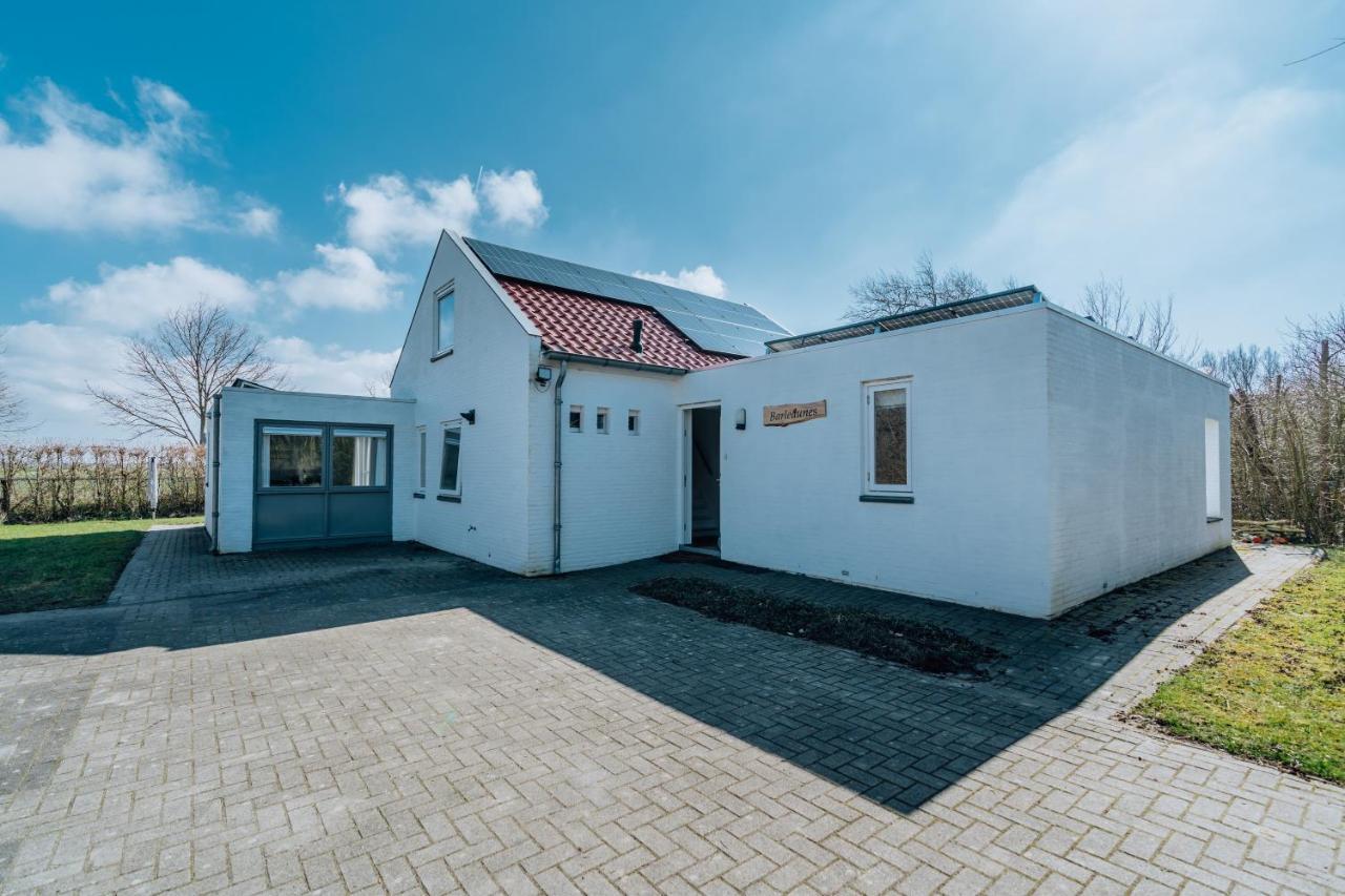 Poldersbos 3 - Ouddorp "Barledunes" - Met Jacuzzi En Sauna Villa Buitenkant foto